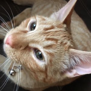 Meet your Posher, Claire